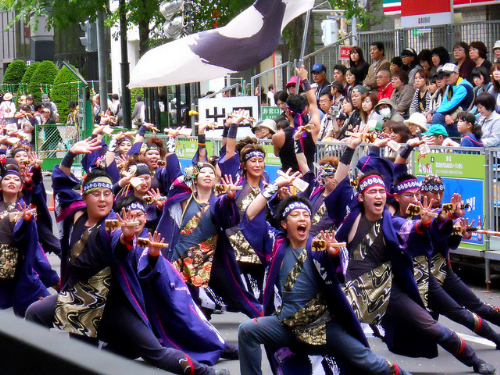 Đà nẵng tổ chức lễ hội hanami lần đầu tiên