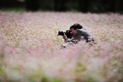 10 mùa săn hoa hấp dẫn nhất việt nam
