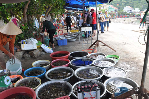 Chợ hải sản ăn liền nào rẻ và độc đáo nhất việt nam