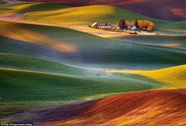 Hình ảnh tuyệt đẹp của những cánh đồng trên đất mỹ