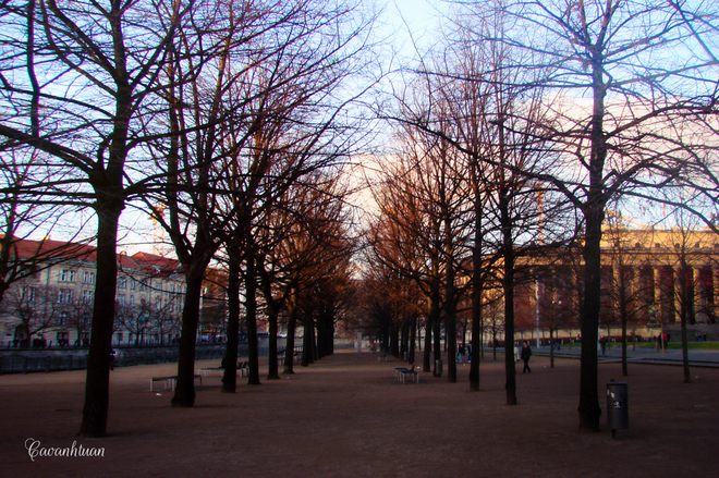 Berlin thủ đô nước đức đẹp yên bình những ngày đầu đông