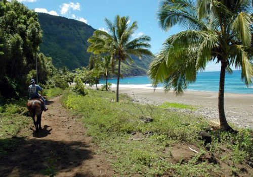Du lịch hawaii có gì mới trong năm 2015