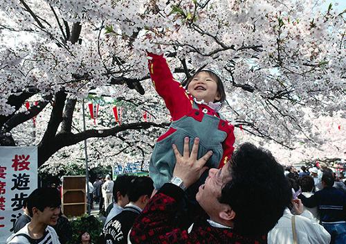 Những lễ hội mùa xuân hấp dẫn ở tokyo nhật bản