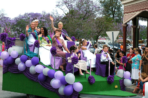 Lễ hội hoa phượng tím lâu đời nhất australia
