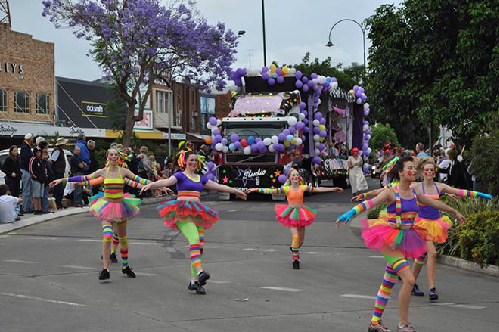 Lễ hội hoa phượng tím lâu đời nhất australia