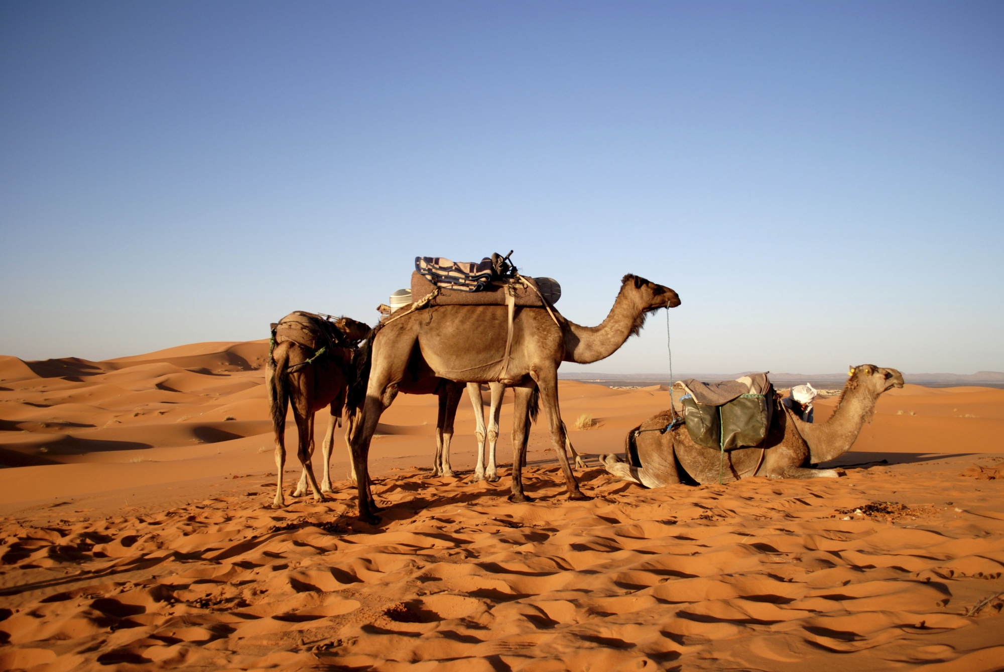 6 trải nghiệm hấp dẫn nhất định bạn phải thử khi du lịch morocco