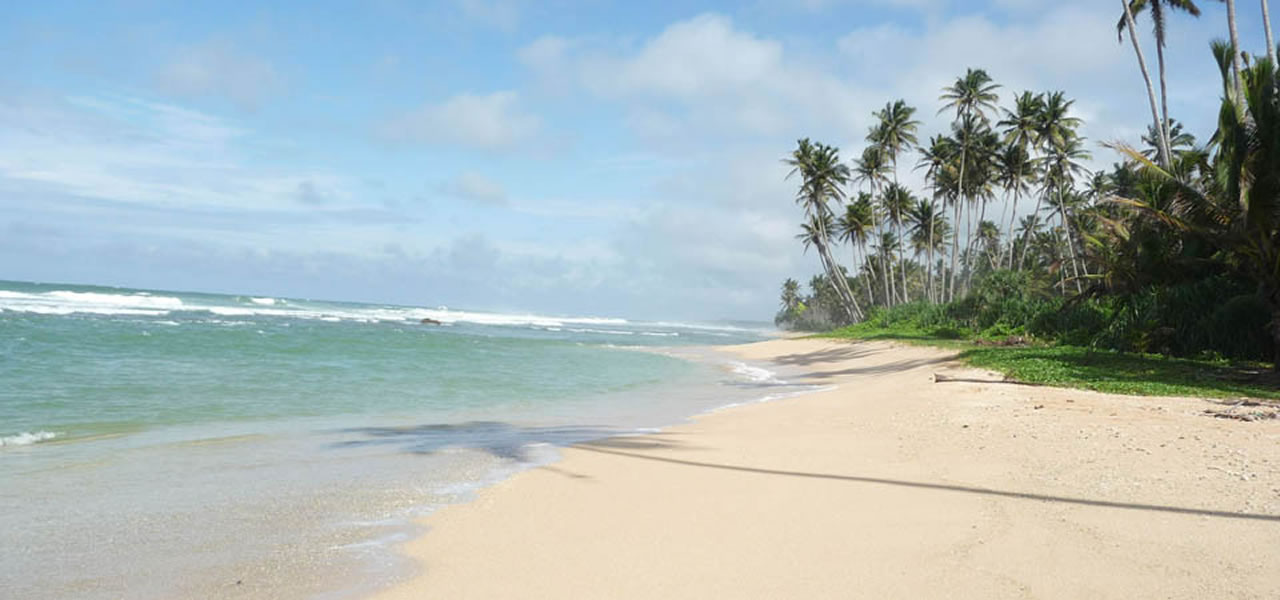 Tìm đến những bãi biển đẹp ở sri lanka
