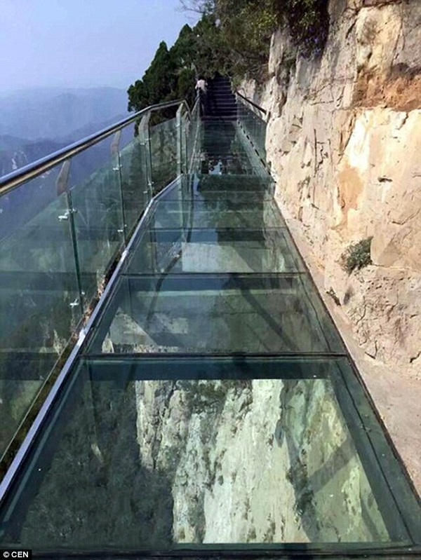 Clip cầu kính cao nghìn mét rạn nứt khiến du khách hoảng sợ