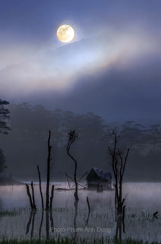 Bộ ảnh đà lạt đẹp mộng mơ trong sương mù