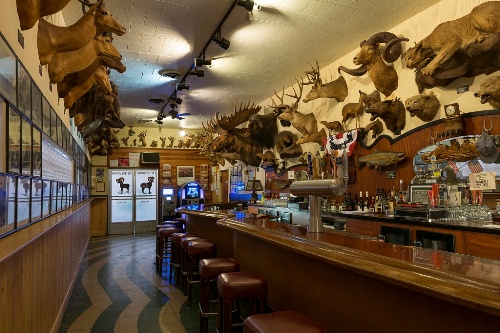 Nhà hàng trang trí bằng hơn 300 đầu động vật