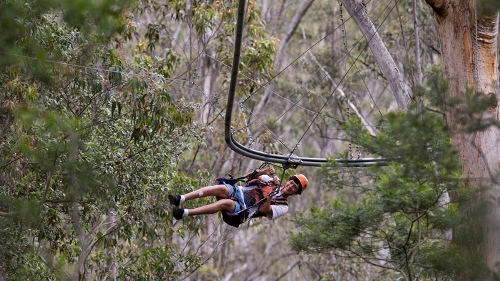 Australia mở đường dây đu zipline dài nhất thế giới