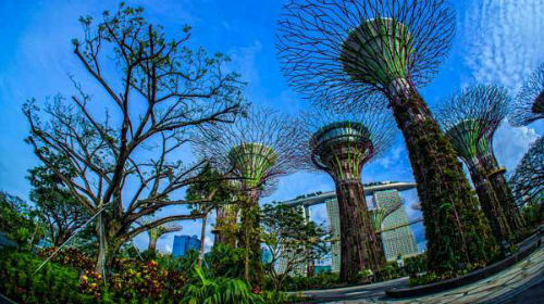 Việt nam nằm trong top 10 thị trường du lịch của singapore