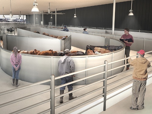New york xây nhà ga hàng không cho động vật