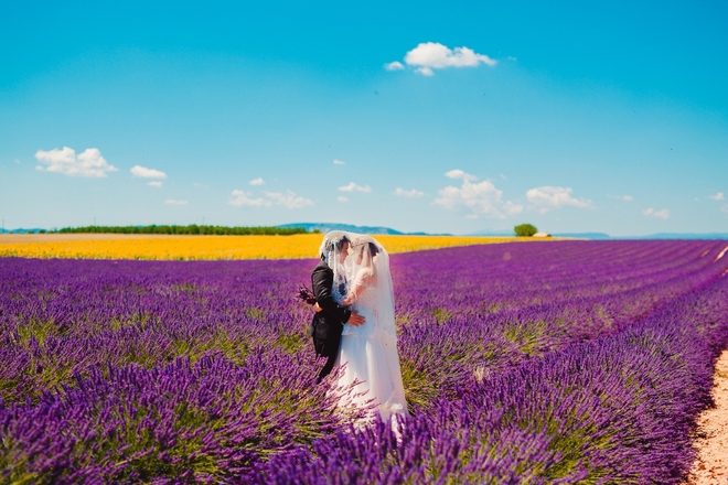 Cánh đồng oải hương trong bộ ảnh cưới của cặp đôi việt