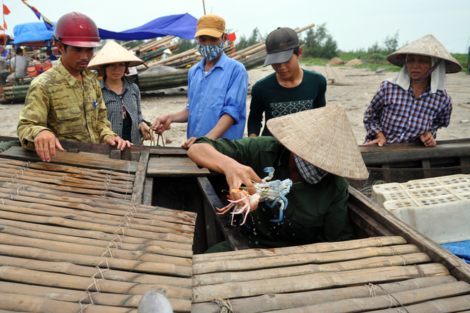 Yên bình xứ đạo hải hậu bên bờ biển