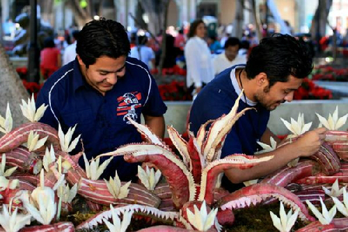 Lễ hội củ cải ở thành phố oaxaca mexico