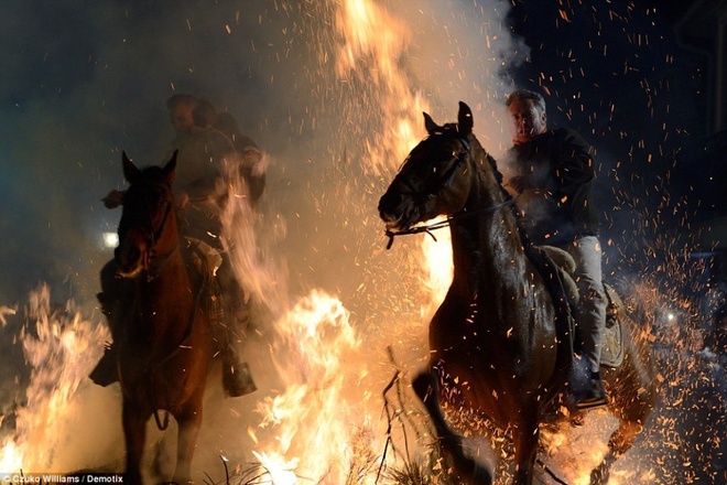 Lễ hội phi ngựa qua lửa độc đáo ở tây ban nha