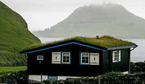 Những ngôi nhà mái cỏ xanh tươi nơi trời âu mơ mộng