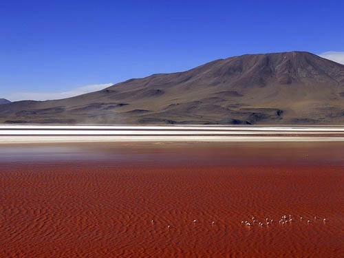Hồ muối cạn đỏ như máu ở bolivia