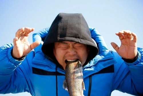 Bắt cá hồi bằng tay không trên sông băng hàn quốc