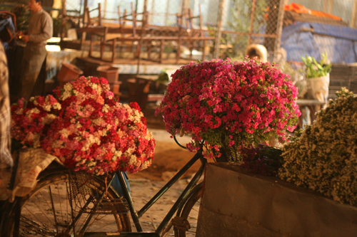 Buổi sớm trong chợ hoa đêm hà nội
