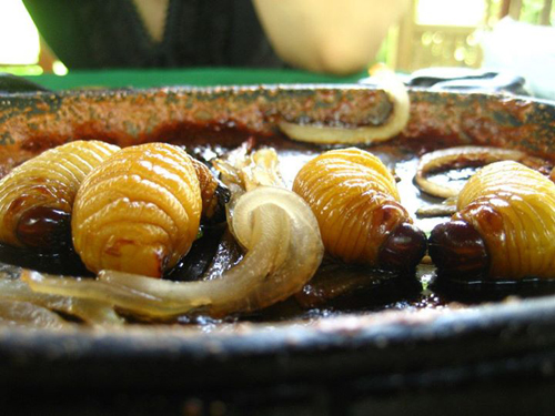 Những món ăn nổi tiếng từ côn trùng ở việt nam