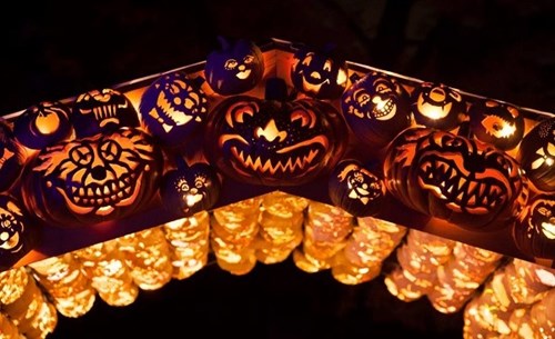 Chào halloween bằng bộ sưu tập bí ngô màu sắc siêu ấn tượng
