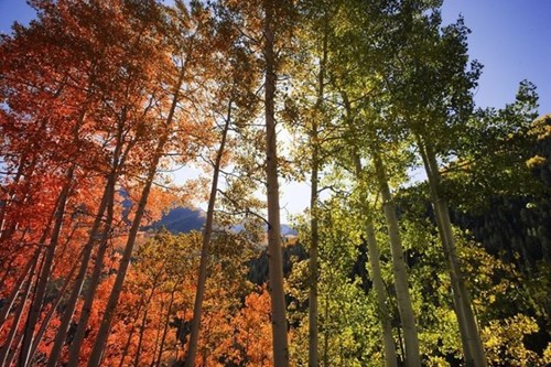 Chùm ảnh tuyệt đẹp về sự thay đổi ngoạn mục thiên nhiên mùa thu p1