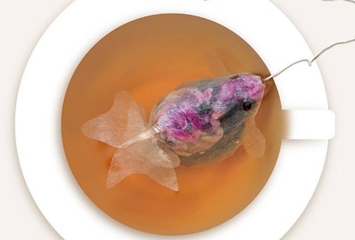 Trà túi lọc cực độc biến cốc trà của bạn thành bể cá