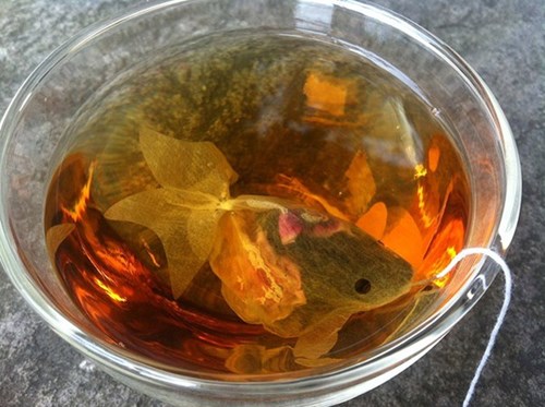 Trà túi lọc cực độc biến cốc trà của bạn thành bể cá