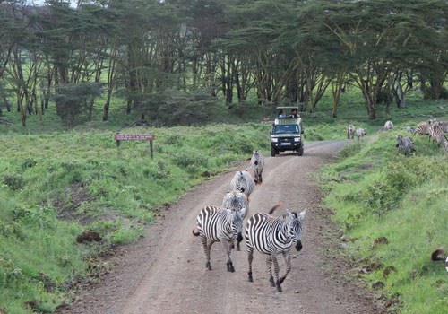 10 định kiến sai lầm về du lịch kenya
