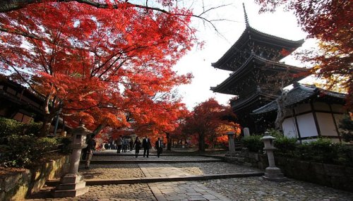 Khung cảnh rừng lá đỏ ngập tràn cố đô kyoto