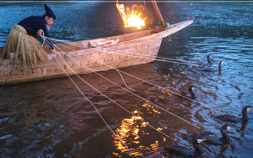 Nghệ thuật đánh cá bằng chim cốc và lửa của người nhật