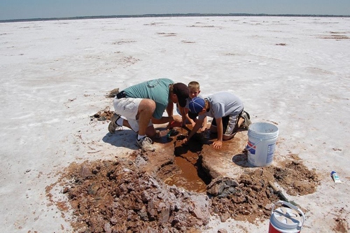 Cánh đồng muối khổng lồ chứa đầy tinh thể lạ ở mỹ