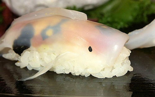 Những miếng sushi biết bơi trên đĩa ở nhật bản