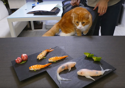 Những miếng sushi biết bơi trên đĩa ở nhật bản