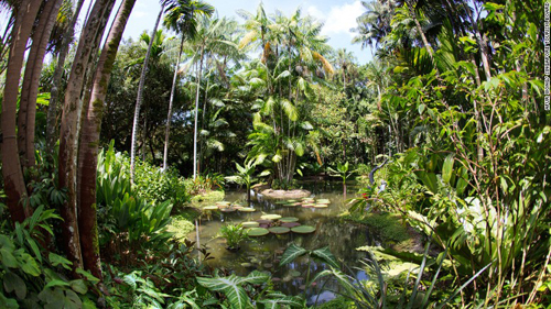 Vườn nhiệt đới duy nhất là di sản thế giới
