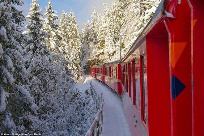Tàu hỏa chạy xuyên dãy alps trong tuyết trắng